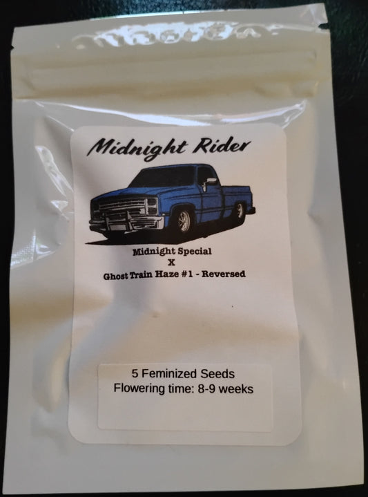 Midnight Rider