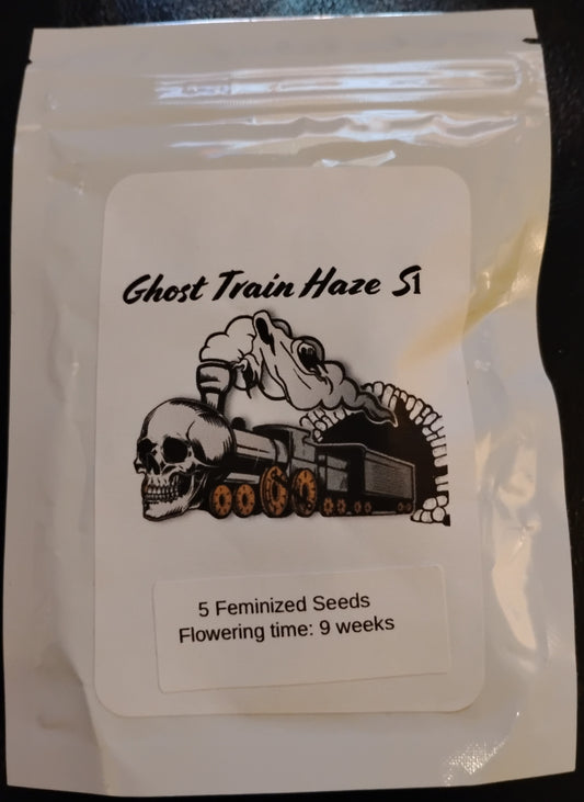 Ghost Train Haze S1