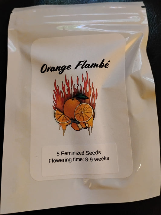 Orange Flambé
