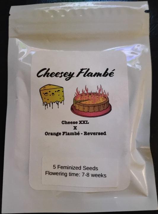 Cheesey Flambé