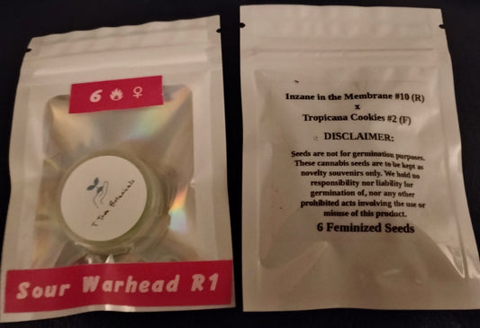 Sour Warhead R1