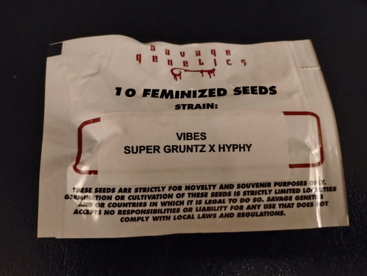 Vibes