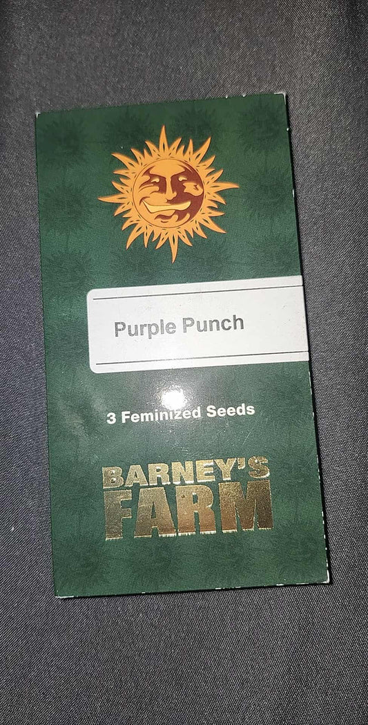 Purple Punch