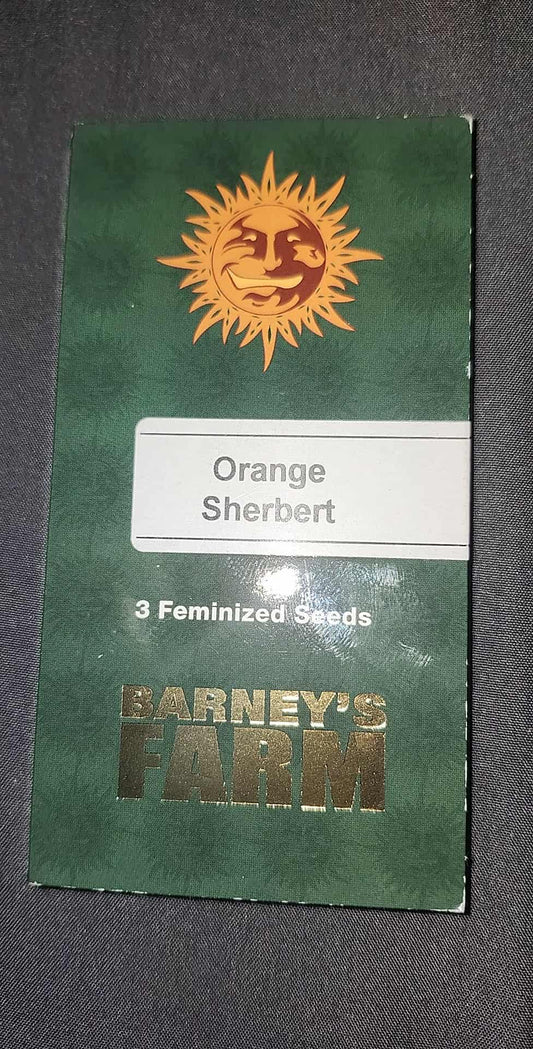 Orange sherbert