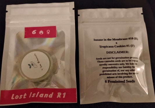 Lost Island R1