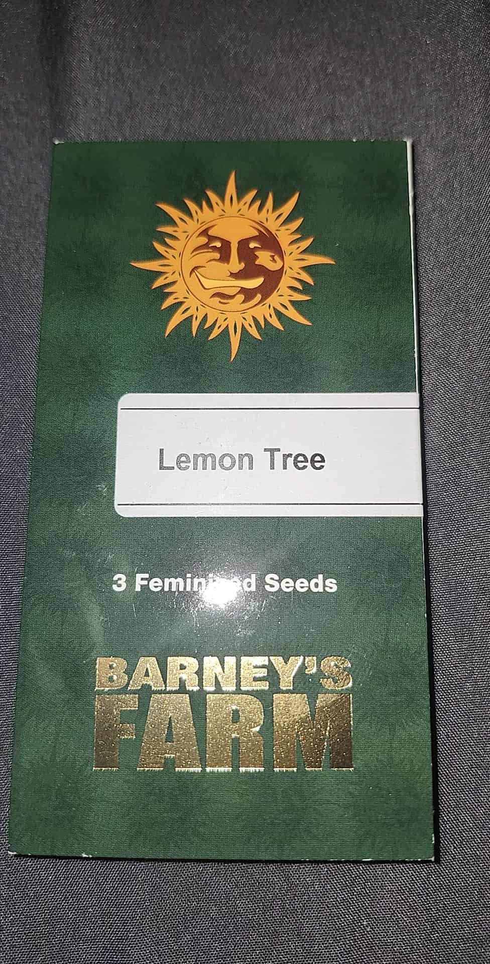 Lemon Tree