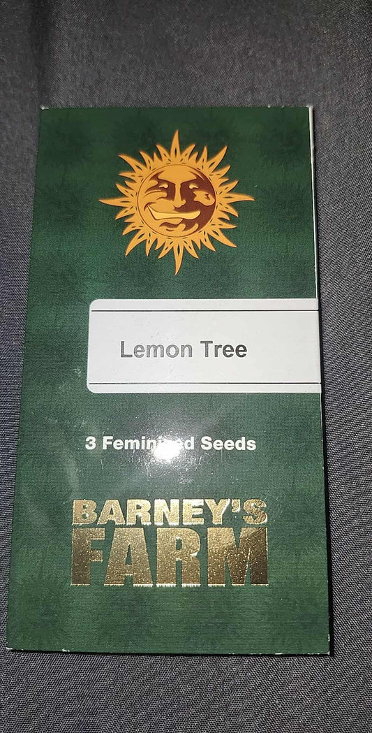 Lemon Tree